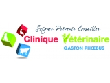 Clinique Vétérinaire GASTON PHOEBUS